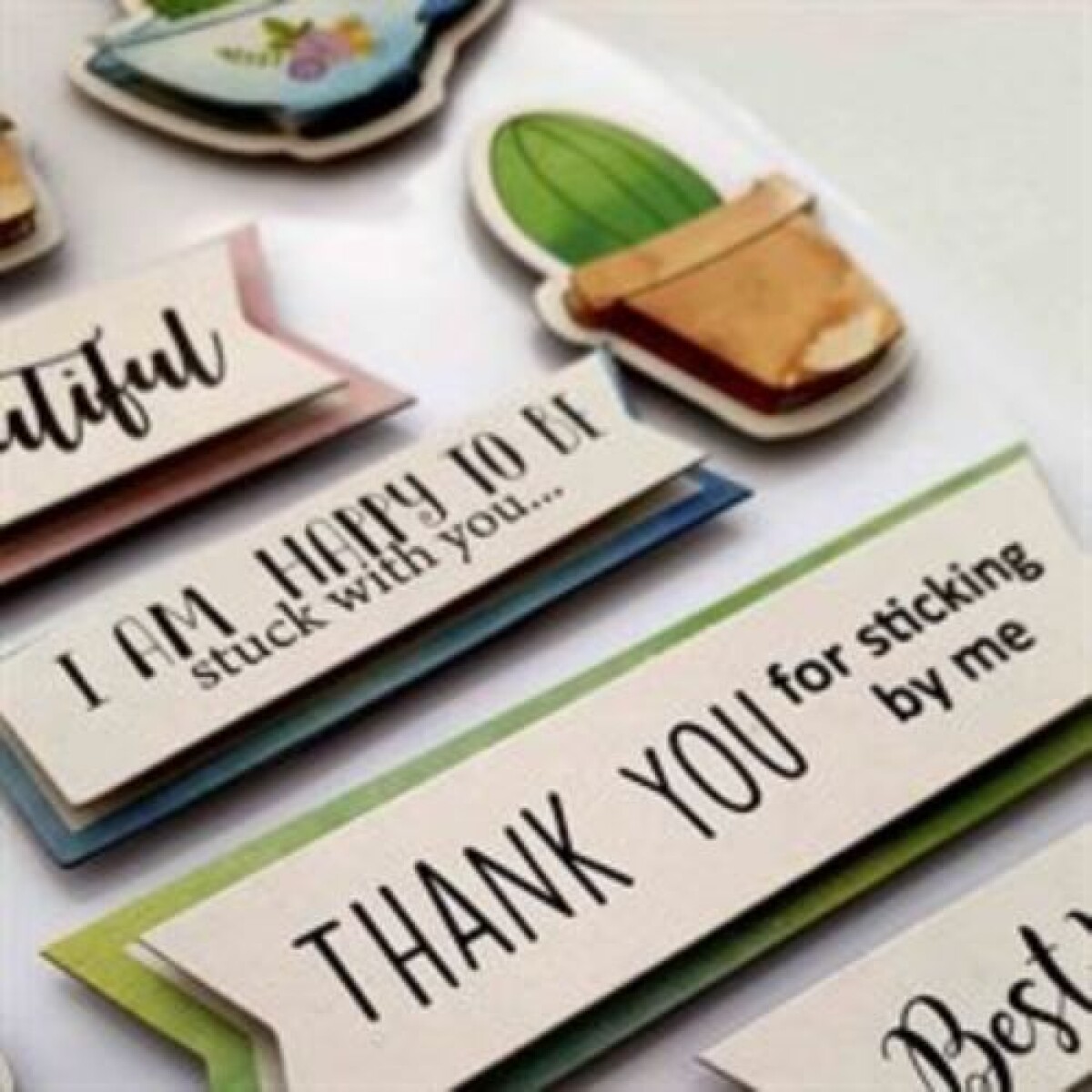 Sticker Acolchonado Cactus y Frases - Sticker Acolchonado Cactus Y Frases 