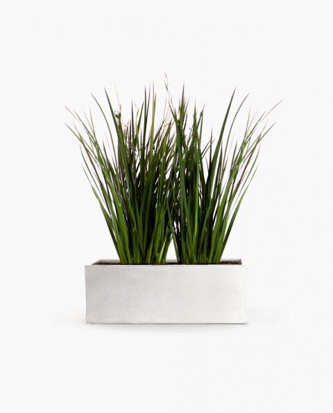 KIT Jardinera "natural" - 80cm* 30cm* 30cm* con dietes y sustrato KIT Jardinera "natural" - 80cm* 30cm* 30cm* con dietes y sustrato