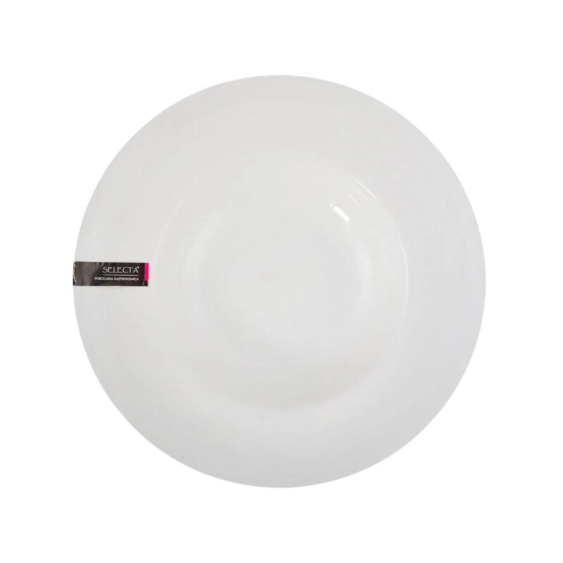 Plato llano Selecta Me.plato Lla.porce.24 Cm.selecta