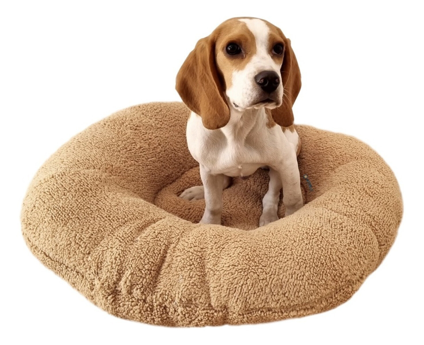 Cama Para Perro Gato Cuna Puff Peluda Cucha 50 Cm Mascota Polar - Variante Color Beige 