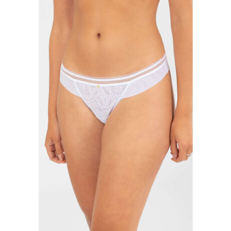 Colaless helecho Blanco