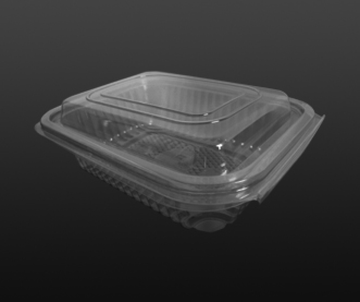 BANDEJA PET CRISTAL CON TAPA BISAGRA 15X19X6 CM. 