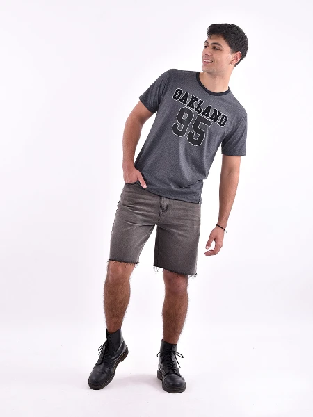 REMERA VARSITY REGULAR ESTAMPADO 3