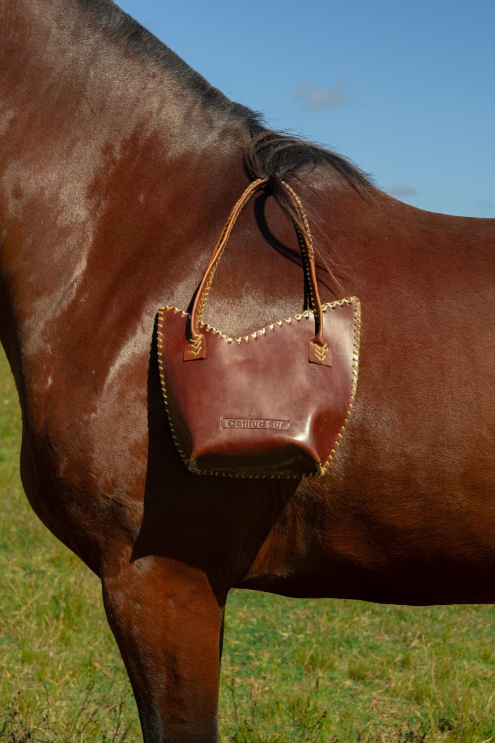 Small Carry Bag Camel