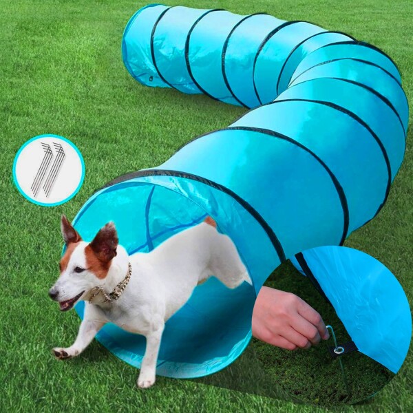Tunel Gigante Perro Gato Mascota Redondo Tubo Interactivo Variante Color Celeste
