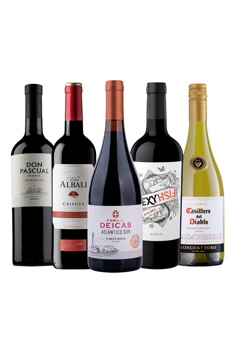 Pack Bacán Entre Sabores x5 vinos Calma de Domingo 