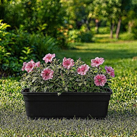MACETA JARDINERA RECTANGULAR 33CM NEGRO MACETA JARDINERA RECTANGULAR 33CM NEGRO