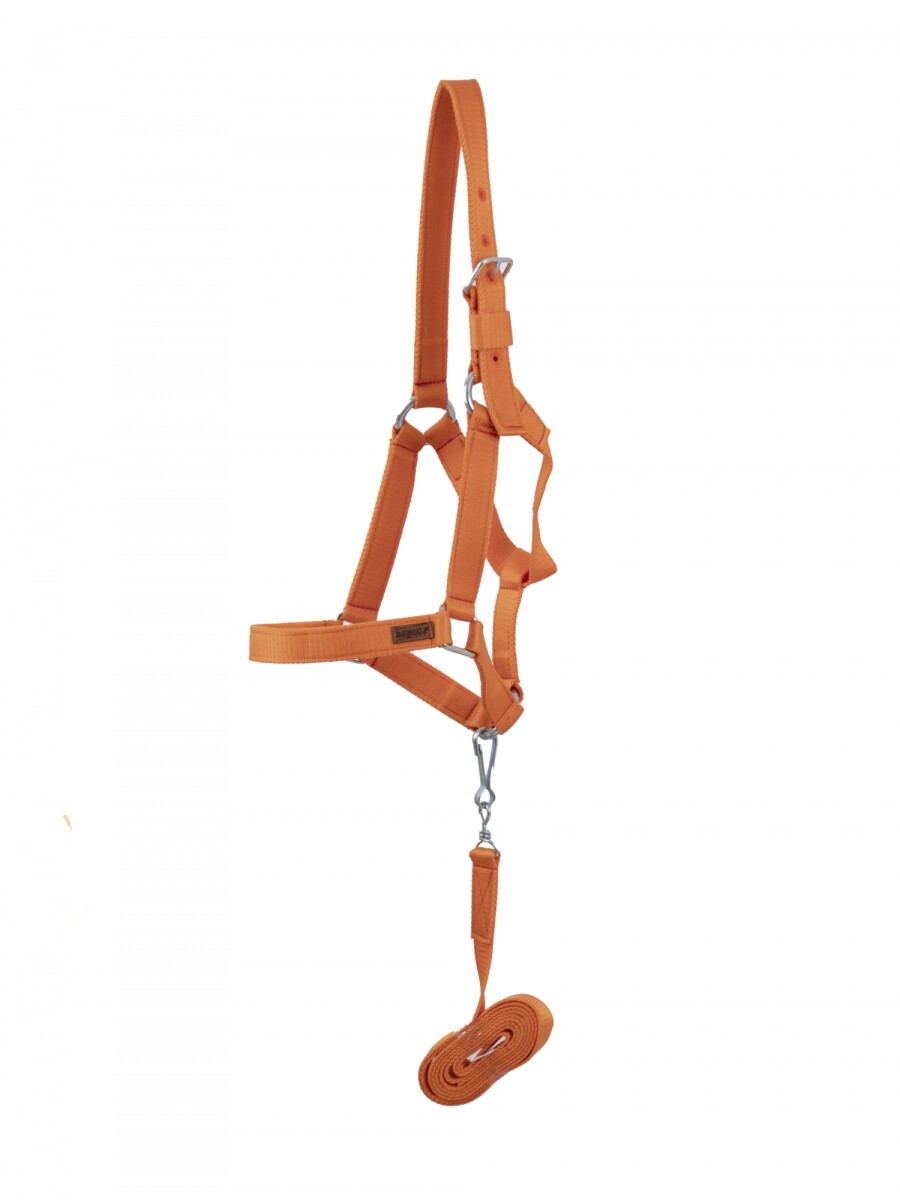 bozal con cabresto de cinta - Naranja 