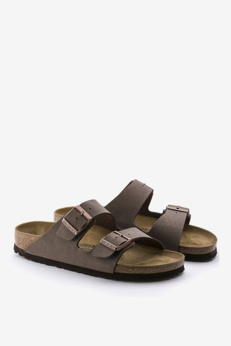 Arizona BFBC Mocca Marron
