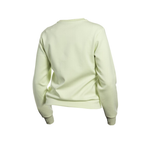 BUZO 361° Light Green