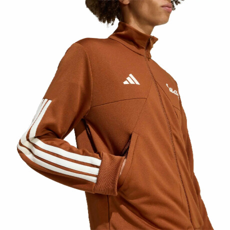 CAMPERA adidas HOUSE OF TIRO Brown White