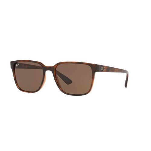 Ray Ban Rb4339l 710/13