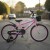 Bicicleta Infantil Sport Rod 20 Canasto Guardabarro Rueditas Rosa 1