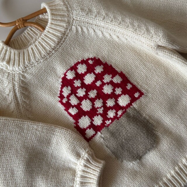 Sweater Honguito Sweater Honguito
