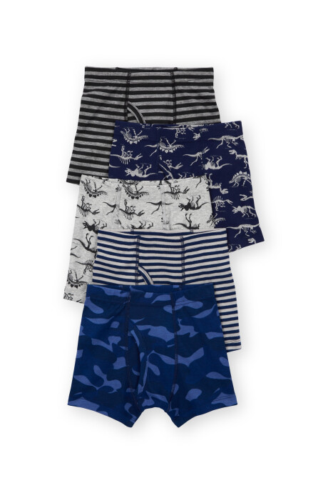 Pack cinco calzoncillos boxer de algodón, diseño dinos Sin color