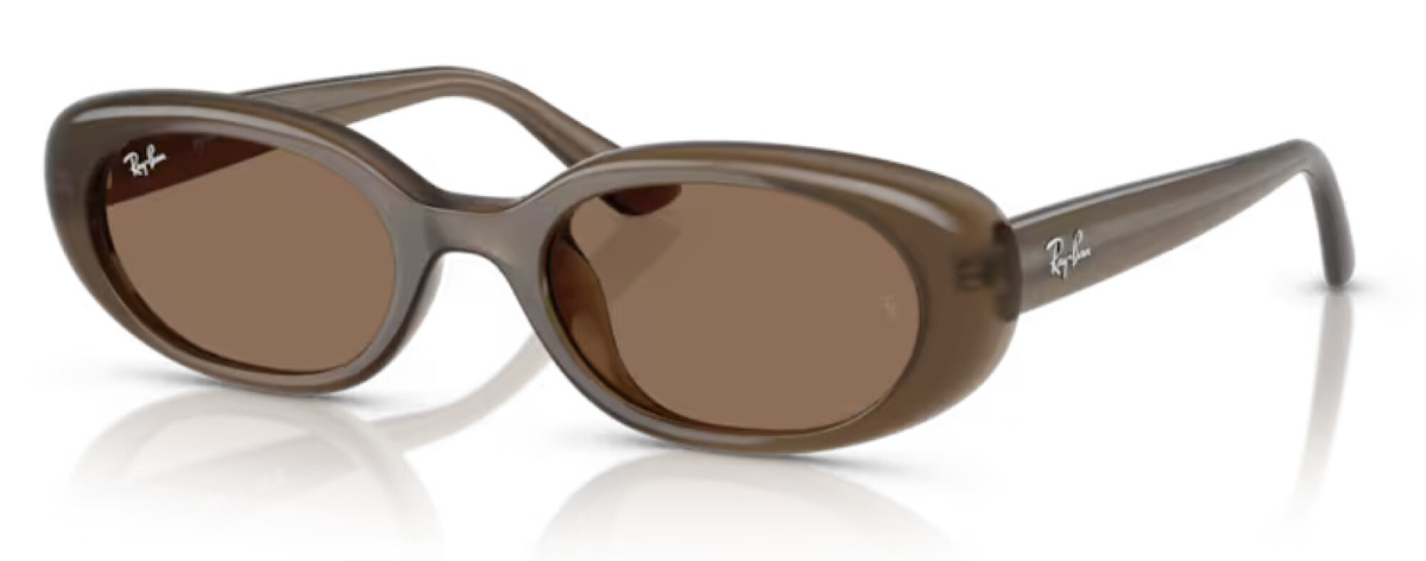 RayBan Oval - Marron — Optica Americana