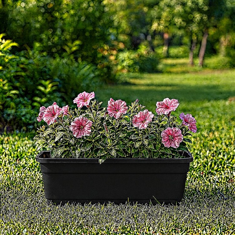 MACETA JARDINERA RECTANGULAR 33CM NEGRO MACETA JARDINERA RECTANGULAR 33CM NEGRO