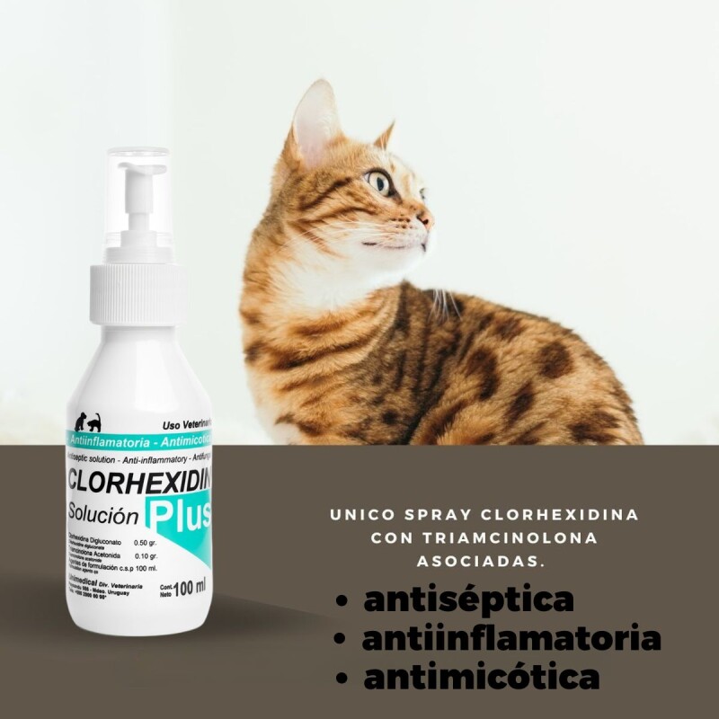 CLORHEXIDIN PLUS SOLUCIÓN 100 ML CLORHEXIDIN PLUS SOLUCIÓN 100 ML