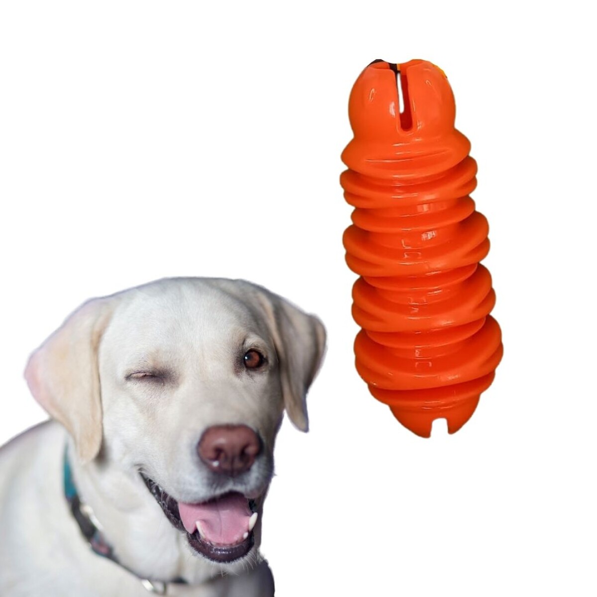 Venus Tasty Dispensador Alimento Interactivo M-pets Naranja 