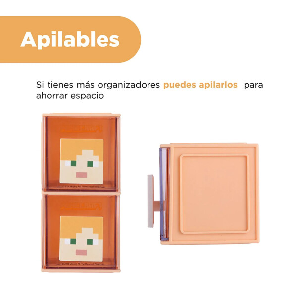 Organizador bloque Minecraft Alex