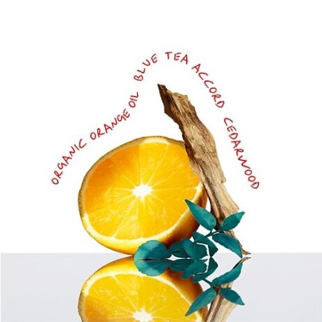 Calvin Klein Everyone Eau De Toilette 200ml Calvin Klein Everyone Eau De Toilette 200ml