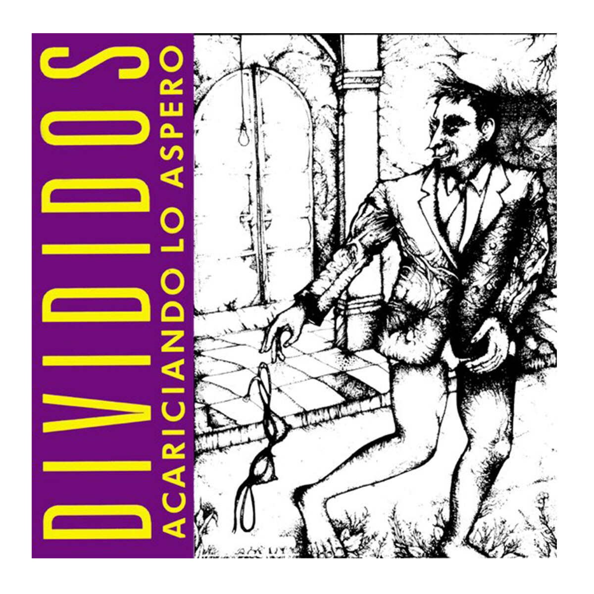 Divididos - Acariciando Lo Aspero - Vinilo 
