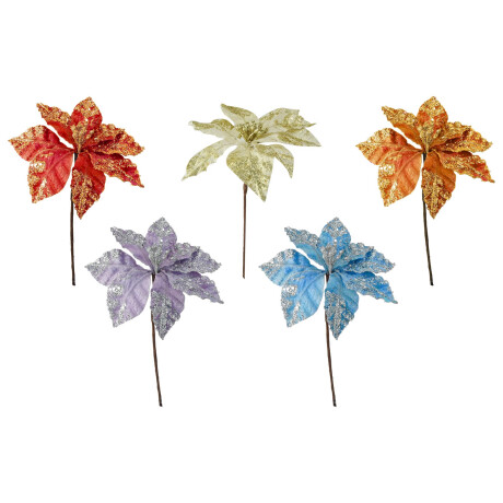 Flor estrella federal Flor estrella federal