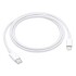 USB-C to Lightning Cable (1m)