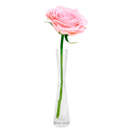 Florero de vidrio Florero de vidrio