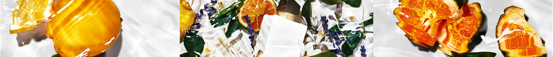 HF Lanzamiento LE NUE