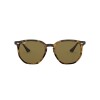 Ray Ban Rb4306 710/73