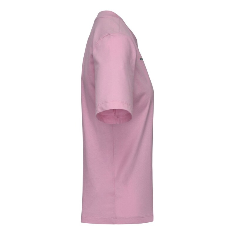 Logo Iota Pink Nosegay