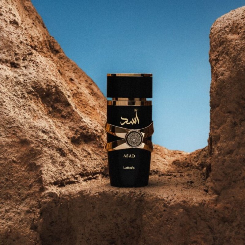 Set Perfume Lattafa Asad EDP 100ml + Asad Zanzibar EDP 100ml Para Hombre Set Perfume Lattafa Asad EDP 100ml + Asad Zanzibar EDP 100ml Para Hombre