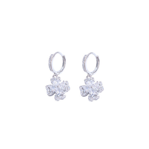 Aretes brillantes Aretes Brillantes