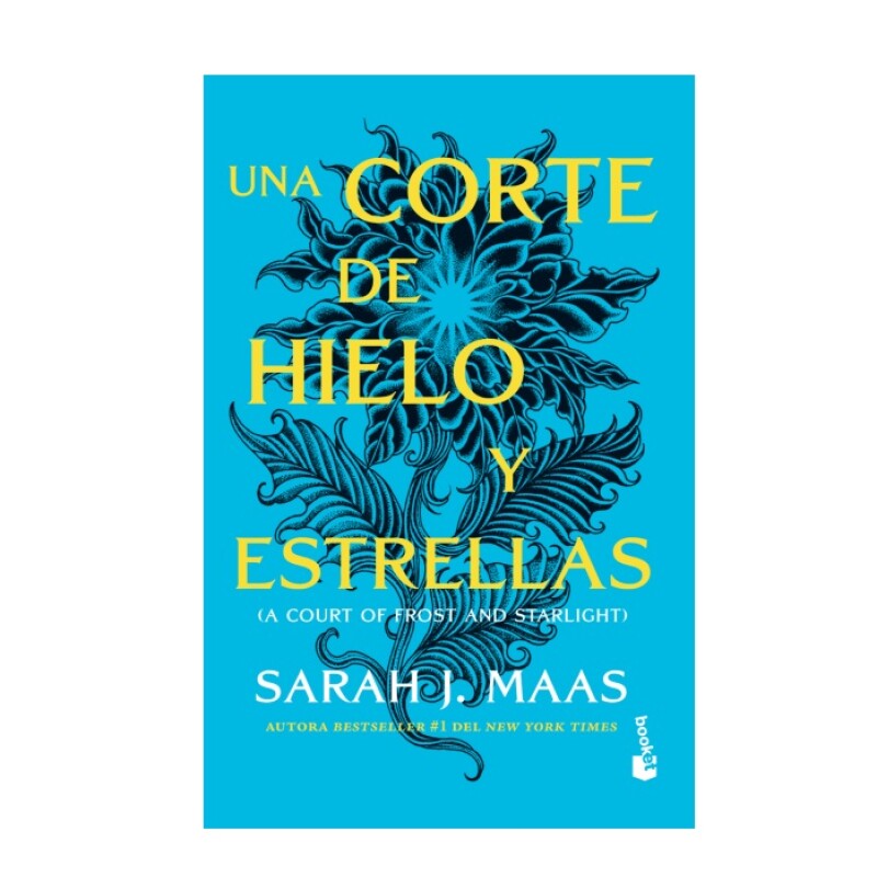 UNA CORTE DE HIELO Y ESTRELLAS (BK) UNA CORTE DE HIELO Y ESTRELLAS (BK)