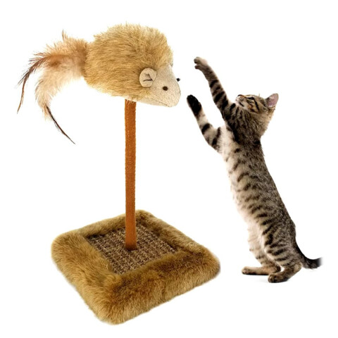 Juguete Raton Gatos Resorte Sonido Rascador Interactivo Variante Modelo Cuadrado