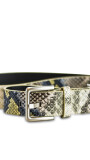 CINTO FRIDA REPTIL JEAN, PISTACHO Y TOPO 100 CMS.