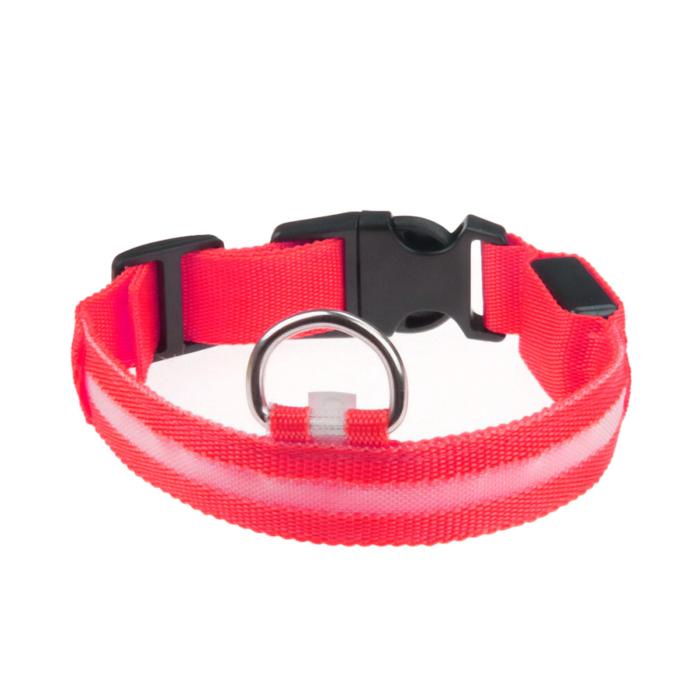 Collar Luminoso Perro Gato Cómodo Paseo Varios Talles Color rojo