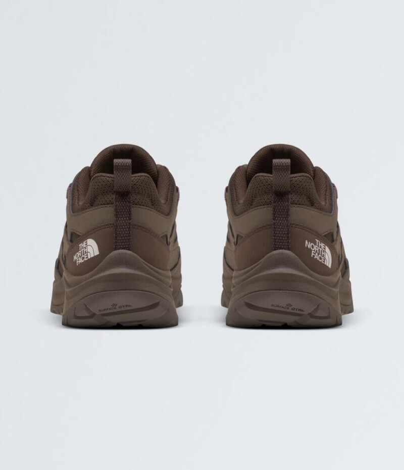 Championes Hedgehog 3 mujer Smokey Brown/demitasse