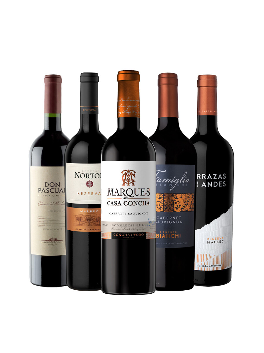 Pack Selección Best Seller de Junio x5 vinos tintos de alta gama Pack Selección Best Seller de Junio x5 vinos tintos de alta gama