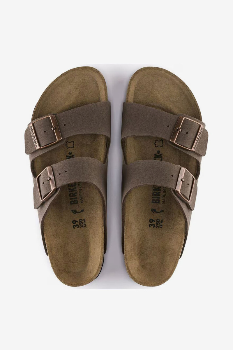 Arizona BFBC Mocca Marron