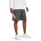 UA Tech Wdmk Shorts-BLU GRY-025