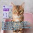 ARENA SANITARIA AGLOMERANTE CHARM CAT PREMIUM BAJO POLVO SIN OLORES 4 KILOS