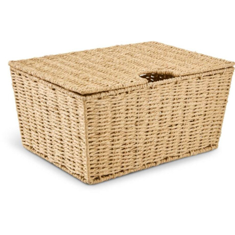 Caja Espen A40Xl27Xa19Cm Con Tapa