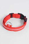 Collar con luz LED recargable rojo