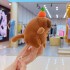 Capibara Peluche Colgante Con Movimiento Juguete Llavero Ax® Variante Capibara