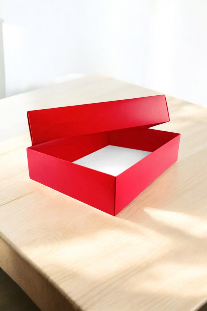 Caja Rectangular 20x30x9 cm - ROJO 