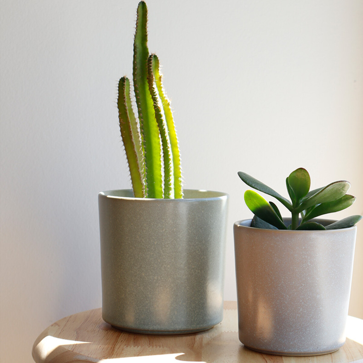 Maceta Degrade l dos tamaños 