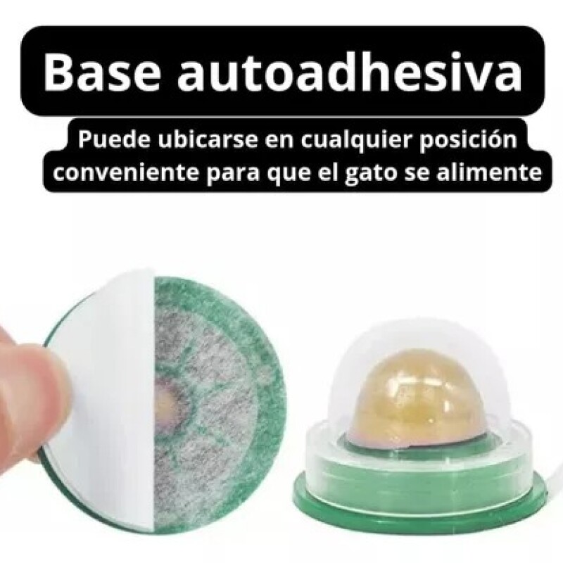 GOLOSINA PARA GATO CATNIP HIERBA GATERA GOLOSINA PARA GATO CATNIP HIERBA GATERA