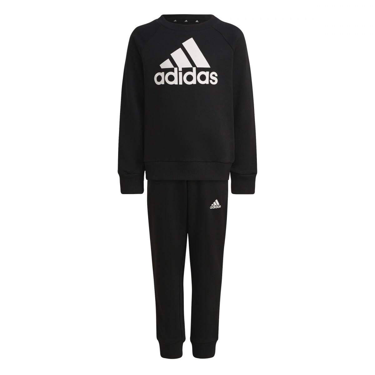 LK BOS JOG FT - Multicolor 